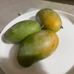 Amrapali Mango
