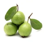 Khaja Guava