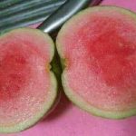 Japanese Red Diamond Guava