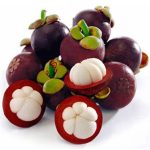 Mangosteen plants