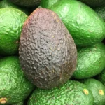 HASS AVOCADO(TROPICAL VERITY)