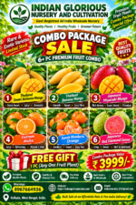 Premium Fruit Plants Combo package(6+1pc) - Image 2
