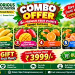 Premium Fruit Plants Combo package(6+1pc)